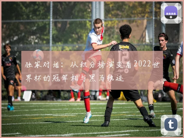 独家对话：从积分榜演变看2022世界杯的冠军相与黑马轨迹
